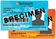 Concession Card Type 4